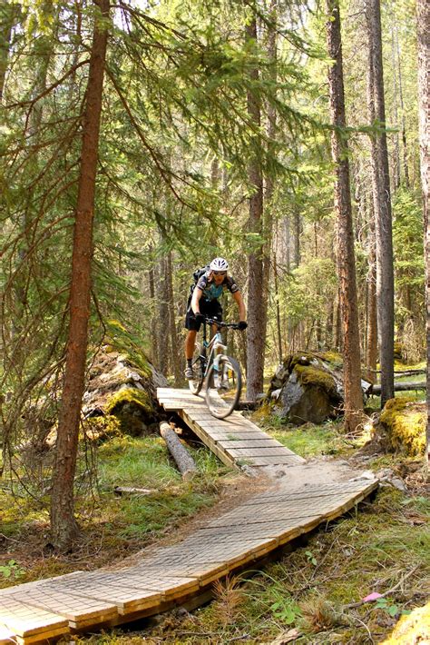 Tunnel Mountain Tech Trails Mountain Bike Trail In Banff Alberta