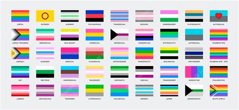 premium vector vector sexual orientation and gender identity pride flags set