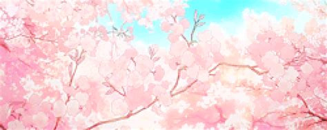cherry blossom s find and share on giphy