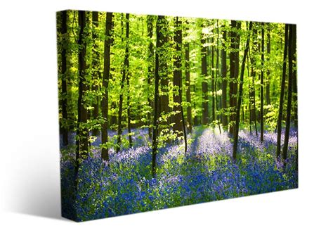 Landscape Wall Art Forest Flowers Spring Paradise Canvas Prints