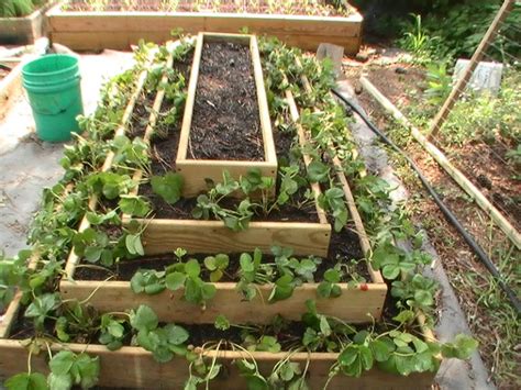 If you have a drill, a saw and a sander, you can build a few of these planters in just a few hours. Instructions For Building A Strawberry PyramidInstructions ...