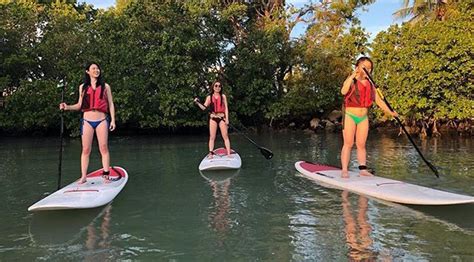 Stand Up Paddle Board Lesson Special In Miami In Miami Book Tours