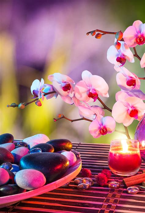 Vibrant Iphone Wallpaper Bing Images Zen Wallpaper Flower Wallpaper