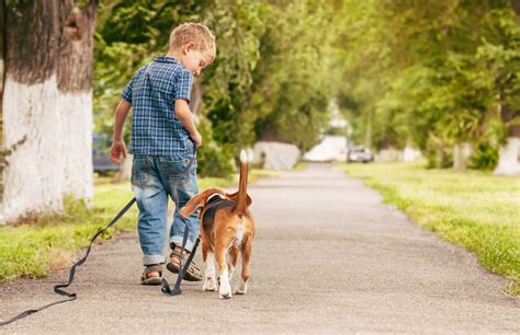 7 Wonderful Reasons Your Kid Needs A Dog Healthypets Blog