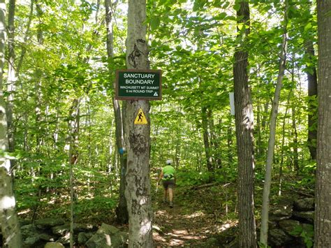 An Idiots Guide To Peakpagging And Hiking In New England Wachusett