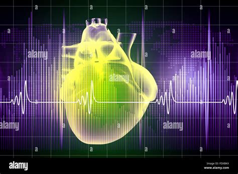 Virtual Image Of Human Heart With Cardiogram Stock Photo Alamy