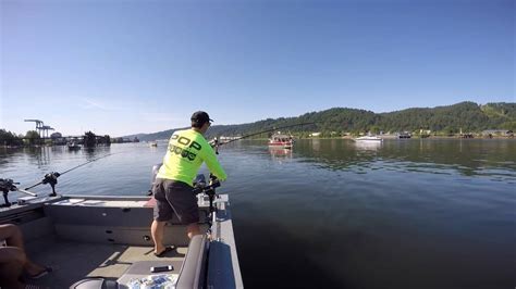 Salmon Fishing Using Pro Troll Flashers On The Willamette River June 5