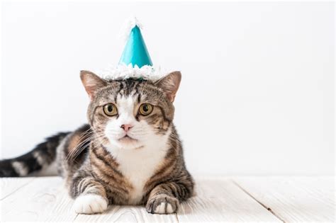 Premium Photo Cat With Party Hat