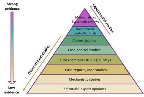 Olvida La Pirámide De Evidencia Científica Be Sapiens