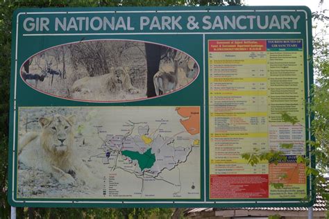 Amazing Gir Forest National Park And Wildlife Sanctuary Of India