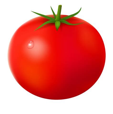 Download High Quality Tomato Clipart Clear Background Transparent Png