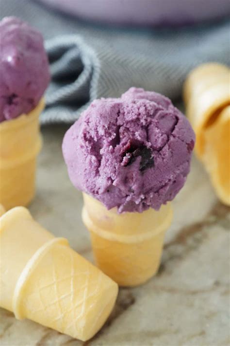 Homemade Blueberry Ice Cream A Food Lover S Kitchen
