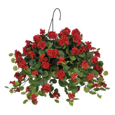 Silks are forever has been providing beautiful, lifelike silk flowers and artificial floral arrangements at wholesale prices since 2009. House of Silk Flowers Artificial Geranium with Hanging ...