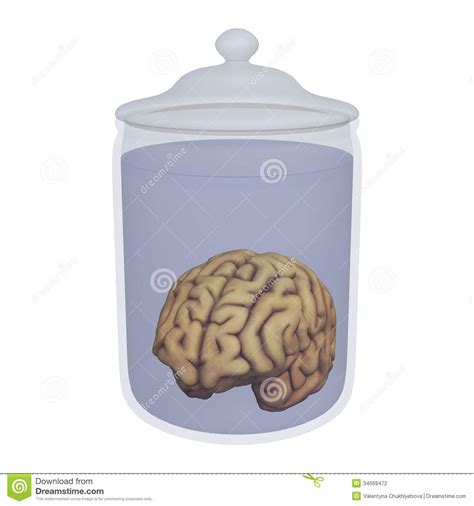 Human Brain In A Jar Stock Illustration Illustration Of