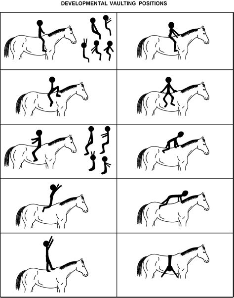 Developmental Vaulting Positions To Use In Hippotherapy Sessions Horse