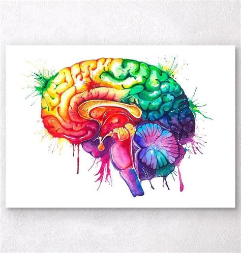 Brain Anatomy Art Brain Drawing Anatomy Drawing Anatomy Art Brain