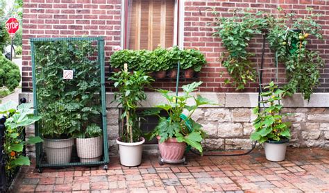 4 Diy Container Garden Ideas For Spring Mesa Awning