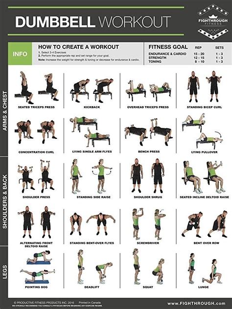 Dumbbell Workout Infographic Dumbbell Workout Plyometric Workout