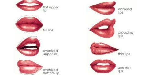 lipsology the shape of your lips reveal your true identity to the world