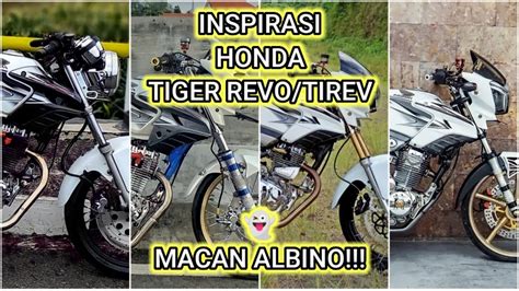 Inspirasi Honda Tiger Revo Tirev 10 Modifikasi Honda Tirev