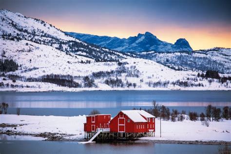 Norwegian Red Houses Stock Photo Image Of Nature Scandinavian 115154924