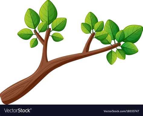 Tree Branch With Green Leaves Royalty Free Vector Image