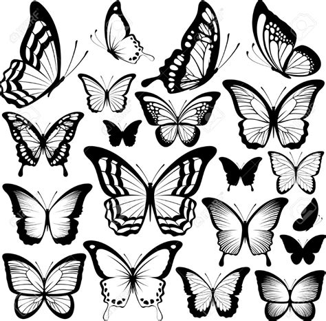 Butterflies Black Silhouettes Isolated On White Background Royalty Free