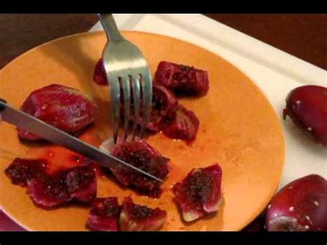 This sometimes beneficial insect goes by many names, including cactus coreid, causing a significant amount of confusion when a gardener is trying to determine if they are trouble. How to eat prickly pear fruit - YouTube