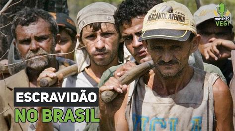 Escravidão e Exploração de Trabalhadores no Brasil YouTube