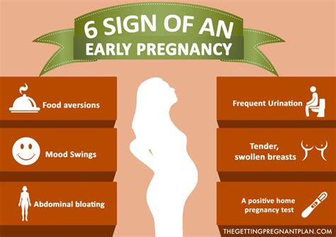 Early Signs Of Pregnancy What To Look For