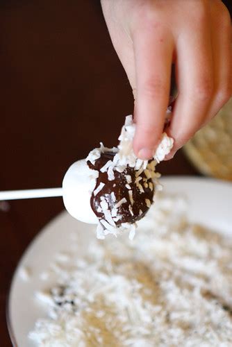 Follow tick prevention to ensure the health of when living in areas with high infestations of ticks or in areas where ticks are known to carry lyme disease, learn how to identify ticks. Chocolate Marshmallow Pops Recipe Three Ways