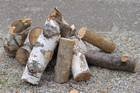 Birch Firewood Stock Image Image Of Pile Birch Fire 230457543