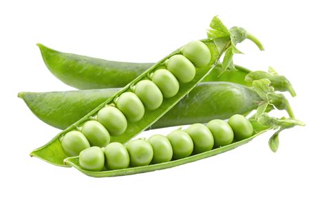 Pea Png Image Hd Png All