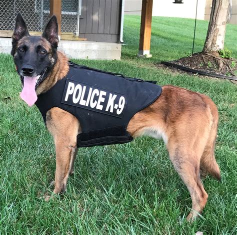 K9 For Kansas Police Department Gets 1700 Protective Vest