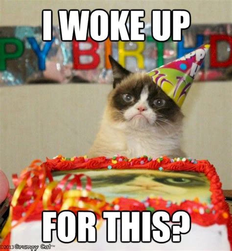 Today Is My 21st Birthday Imgur D Grumpy Cat Grumpy Cat Birthday
