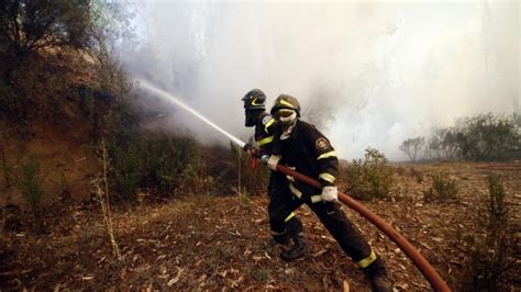 Se Mantiene Alerta Roja En Malleco Y En Melipeuco Por Incendios