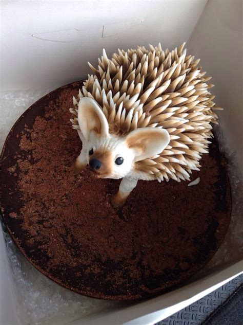 Using a cake recipe written especially for dogs means you can bake your pooch something he will love, whilst keeping it healthy and safe for him to eat. Porcupine Cake | Dog food recipes, Porcupine cake, Food ...