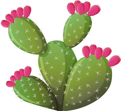 Prickly Cactus In Cartoon Style Isolated On White Background 2775809 Vector Art At Vecteezy