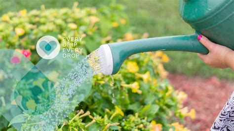 How To Save Water In The Garden