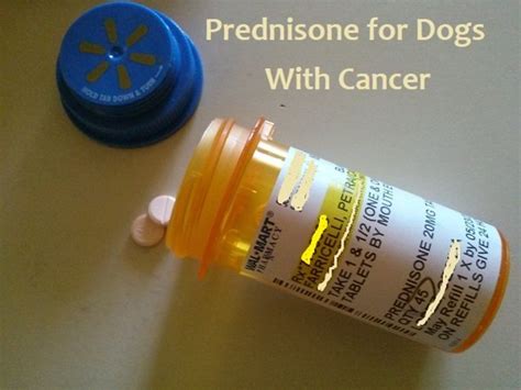 What is prednisone used for in dogs. Prednisone for Dogs With Cancer | PetHelpful