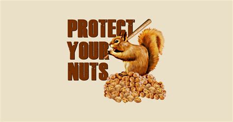 Protect Your Nuts Squirrel Protecting Nuts T Shirt Teepublic