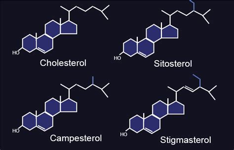 Plant Sterols And Stanols Their Role In Health And Disease Journal