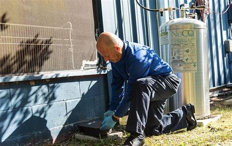 The bed bug pest control services provided by us are highly acclaimed for their time bound provision. Julington, FL Pest & Termite Control | Lindsey Pest Services