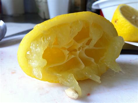 Squeezed Lemon Kathryn Rotondo Flickr