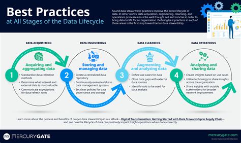 Best Practices At All Stages Of The Data Lifecycle Mg Infographic