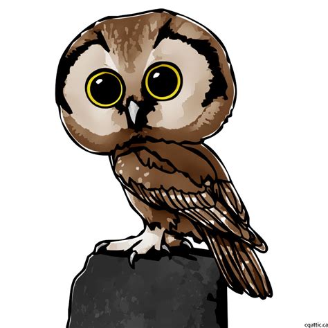 Owl Cartoon Drawing In 4 Steps With Photoshop