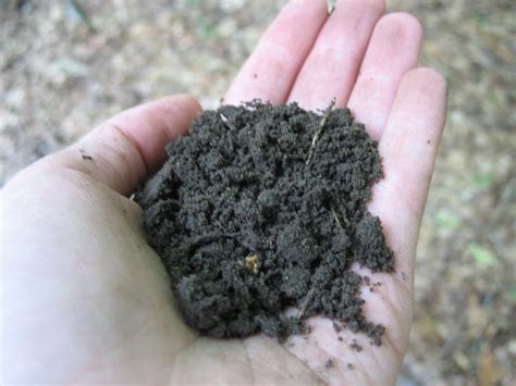 Soil Silt Loam 1 How Does Your Soils Texture Aid Or Hind Flickr