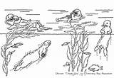 Coloring Otter Baby Sea River Animals Sheet Template Popular sketch template