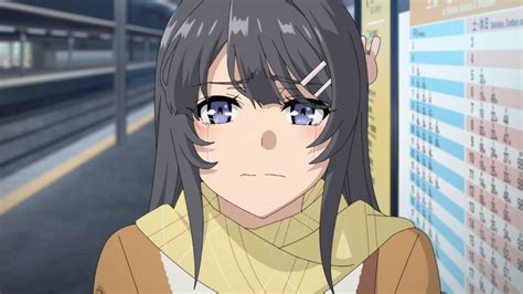 Download Mai Sakurajima Anime Rascal Does Not Dream Of Bunny Girl Senpai HD Wallpaper