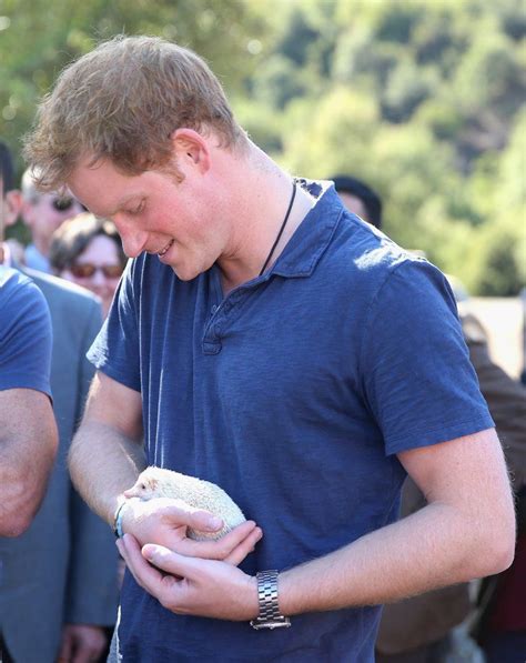celebrity and entertainment prince harry moments that will make you swoon popsugar celebrity